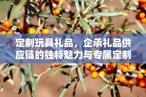 定制玩具礼品，企承礼品供应链的独特魅力与专属定制体验